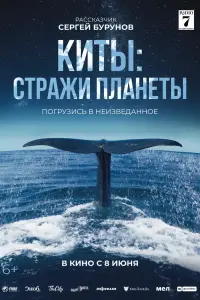 Киты: Стражи планеты смотреть онлайн в хорошем качестве