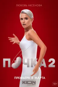 Смотреть Почка 
